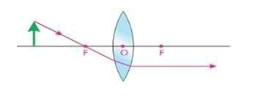 Axon