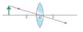 Axon