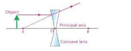 Axon