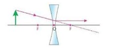 Axon