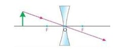 Axon