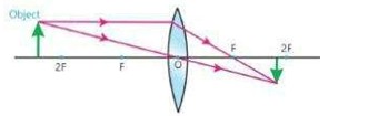 Axon