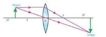 Axon
