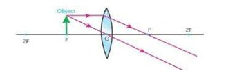 Axon