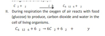 Axon